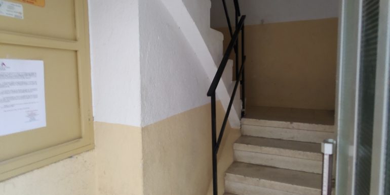 IMG_20240120_121039225