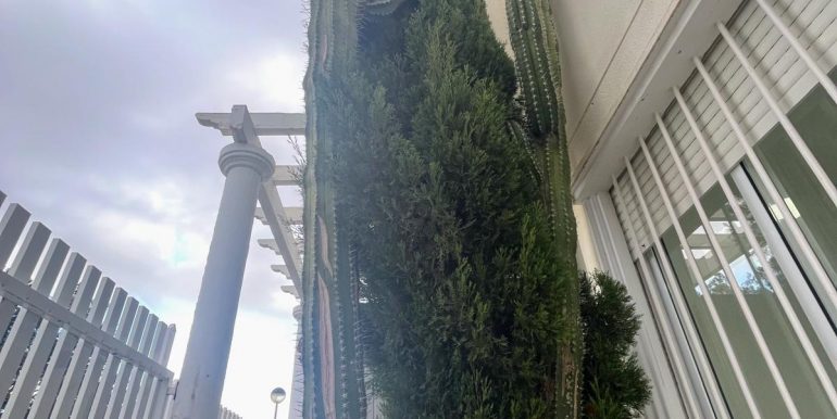 Imagen de WhatsApp 2025-12-17 a las 11.48.39_2f41c9cf