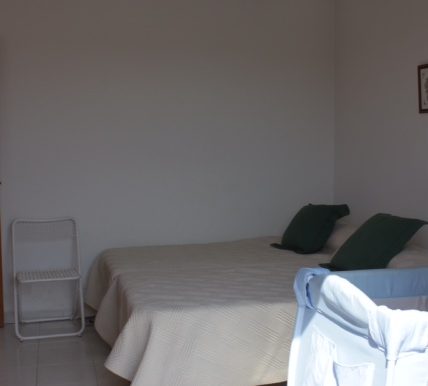 Buganvillas (1)