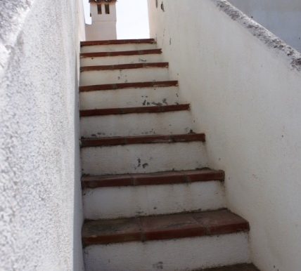 Buganvillas (12)
