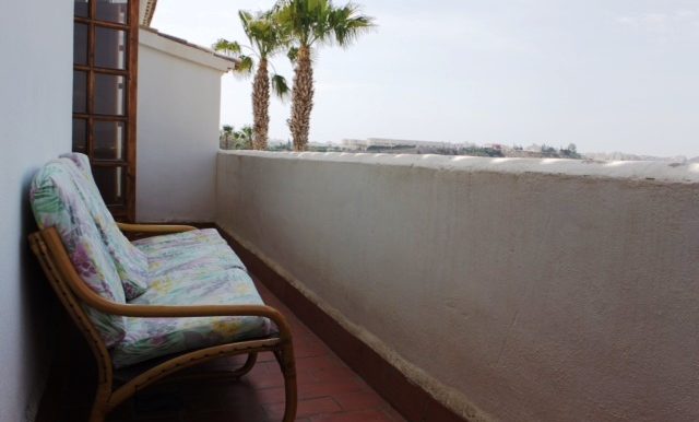 Buganvillas (6)