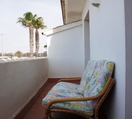 Buganvillas (7)