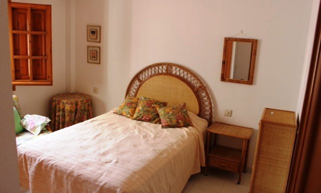 Buganvillas (8)